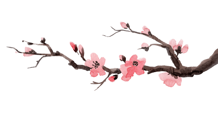 Sakura Branch Right