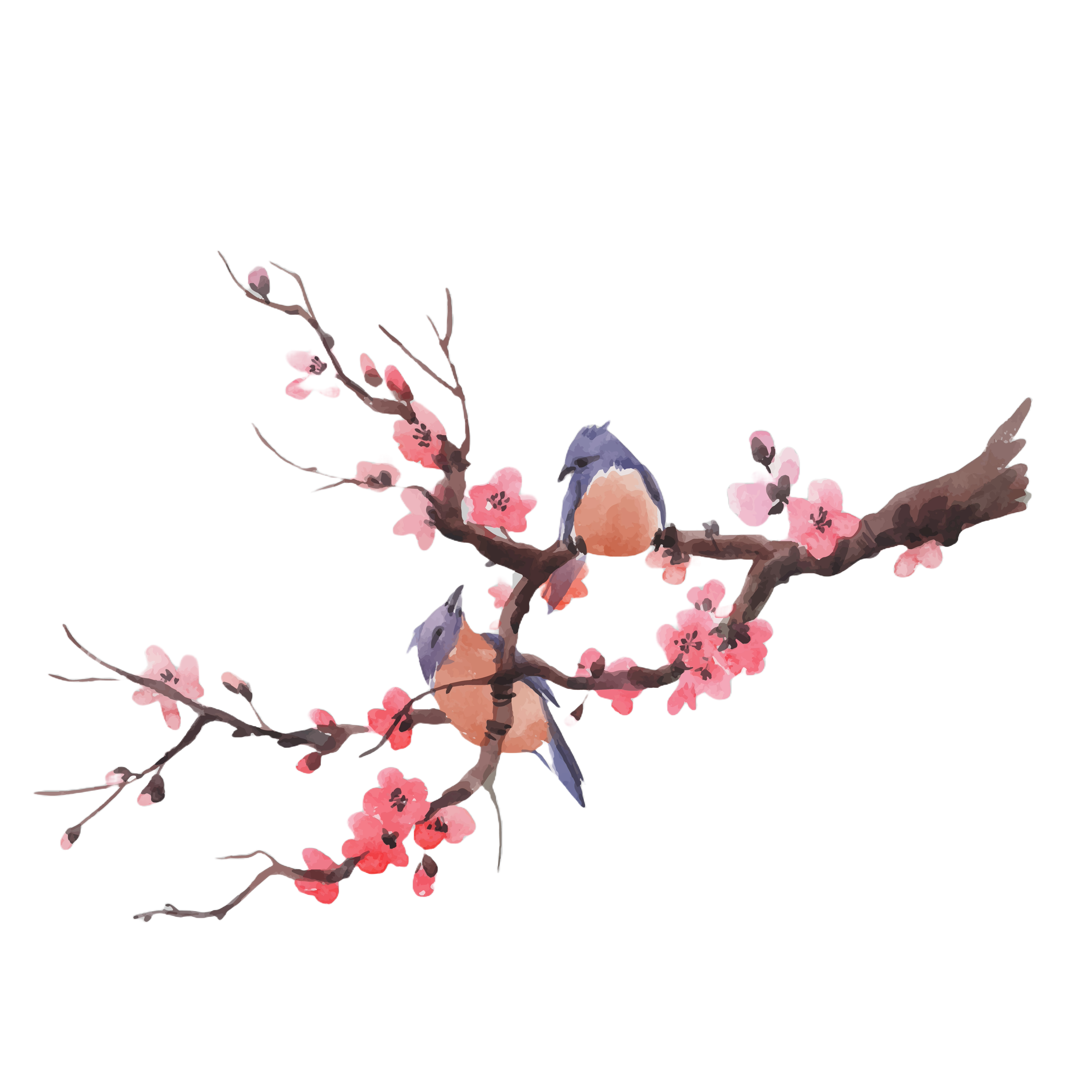 Sakura Birds